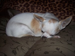 USA Marshall winter 2012 visit 005