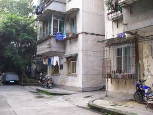 Ms Lu's dinner with dog 001