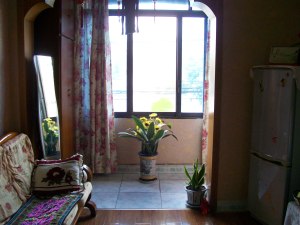 Ms Lu's dinner with dog 006