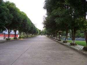 Our tree-lined walkways gave the campus a nice feel.