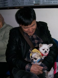 All were welcome to the service, including our doggie visitors.