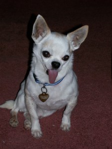 Lao-lao's happily-ever-after pose.