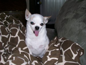 Lao-lao says, "I'll miss you!"