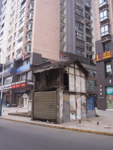 How long with this little guy last among his more developed brethren?