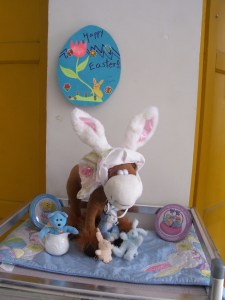 Mary's donkey, used for our Christmas story re-enactment, says "Happy Easter!"