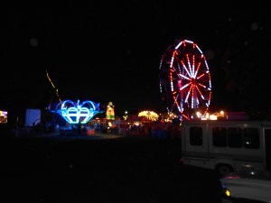 2013 fair pictures 008