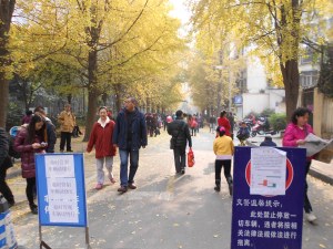 For one week, our sidestreets were closed to vehicle traffic for safer gingko viewing by the public.