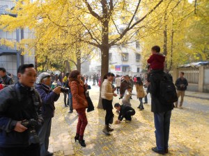 Family members can't get enough of photographing the little ones.