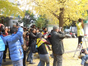 When a model appears, here positioned on a ladder, anyone with a camera takes advantage.
