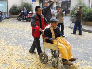 No one is excluded from enjoying the sights of our neighborhood autumn.