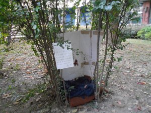 Ratty Thing's little shelter, with my Chinese note to those who cared that he's receiving treatment at the veterinarian hospital.