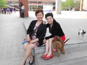 Our canine friends and their dogs, posing for pictures.