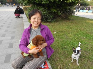 Ms. Zhao and 毛豆 (Hairy Bean), her poodle.  Chihuahua Little Beautiful Sister (小美妹)  looks on.