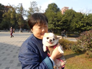Our campus pet walkers really love their animals.
