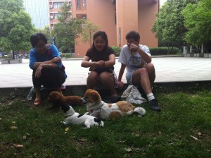 Ms Zhao, Sha-sha and I enjoy watching doggies at play.
