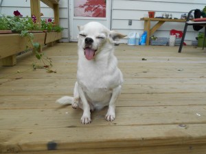 "Where are my sunglasses when I need them?"