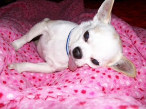 "Guess that second glass of wine wasn't such a good idea after all."