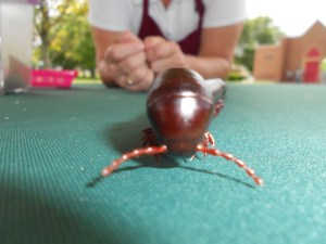 He was a lively little thing!