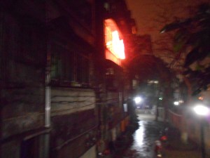 New Year's Eve had my 2014 Christmas lights ushering in 2015.