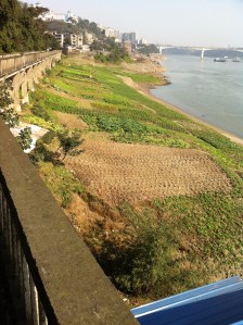 Last week's Yangtze river walk was a great way to begin Christmas morning last week.  Views today are much dimmer and colder.