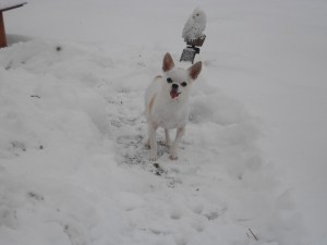 Finished!  Let me back in.