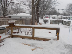 Bird feeder full, it's time for feasting!
