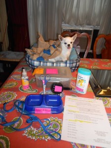 Lao-lao is ready to go, instructions and all. (Overprotective mother?  Nah . . . Never!  LOL)