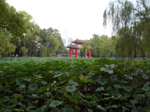 The Main Gate of Sichuan University, where I enjoyed sitting around the lotus pond during my visit.