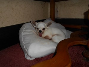 So long, Lao-lao!  See you next year.