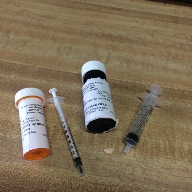 UNADJUSTEDNONRAW_thumb_ee7