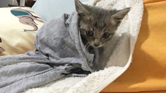 UNADJUSTEDNONRAW_thumb_2858