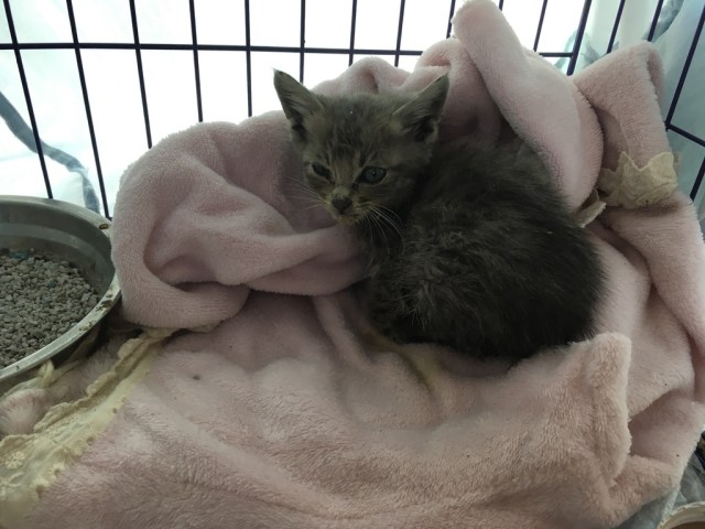 UNADJUSTEDNONRAW_thumb_2945