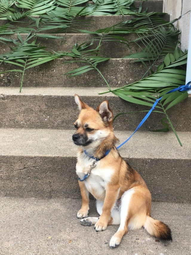 UNADJUSTEDNONRAW_thumb_306c