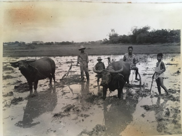 +Gp4a5IYTA6aunFy+lPoYA_thumb_3295