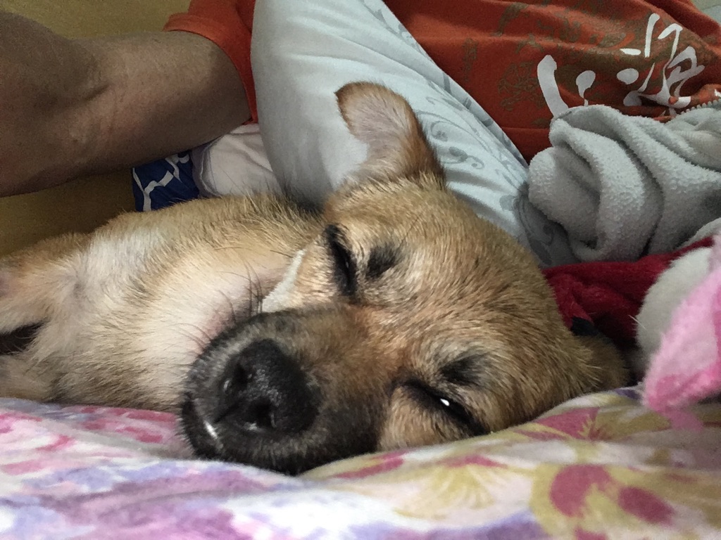 UNADJUSTEDNONRAW_thumb_1ecc