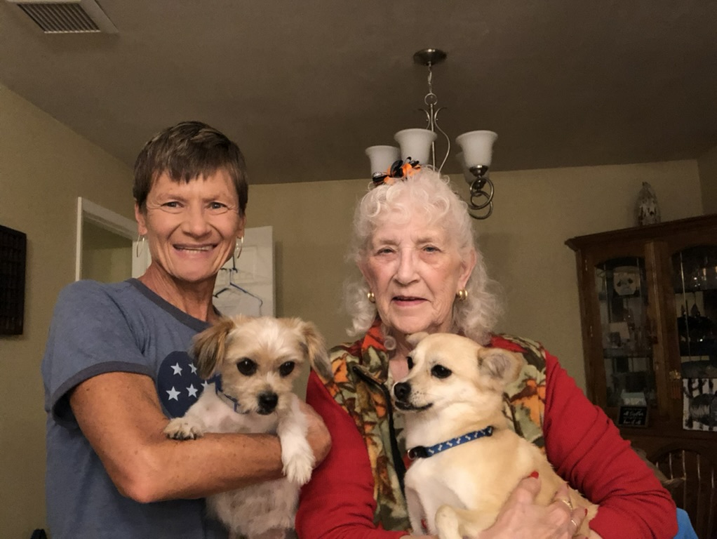 C60BB448-5290-453C-837D-6F854F9102F1_1_105_c