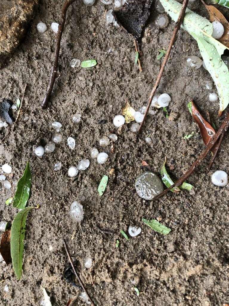 5C22B792-318C-47C0-B670-3C9CB4DBE1E7_1_105_c