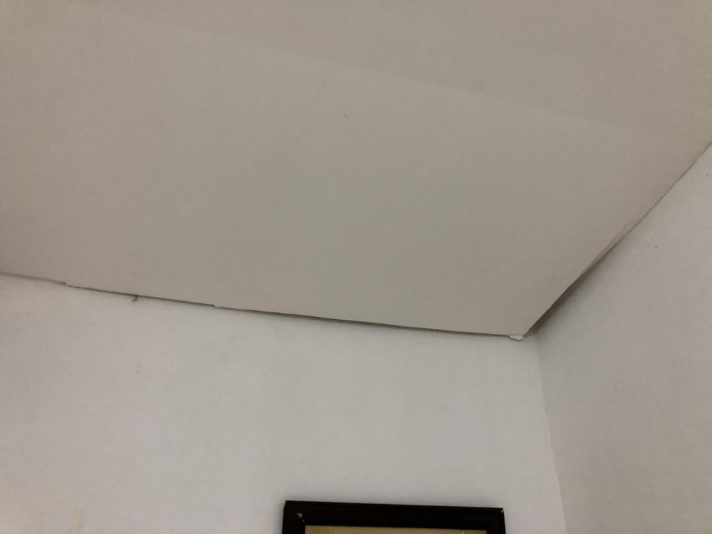 039710EC-5CAF-4554-8746-F2B5981BEACF_1_105_c