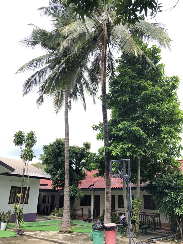 71FEAE3E-0771-4459-AE6B-10E4D9AC53E3_1_105_c