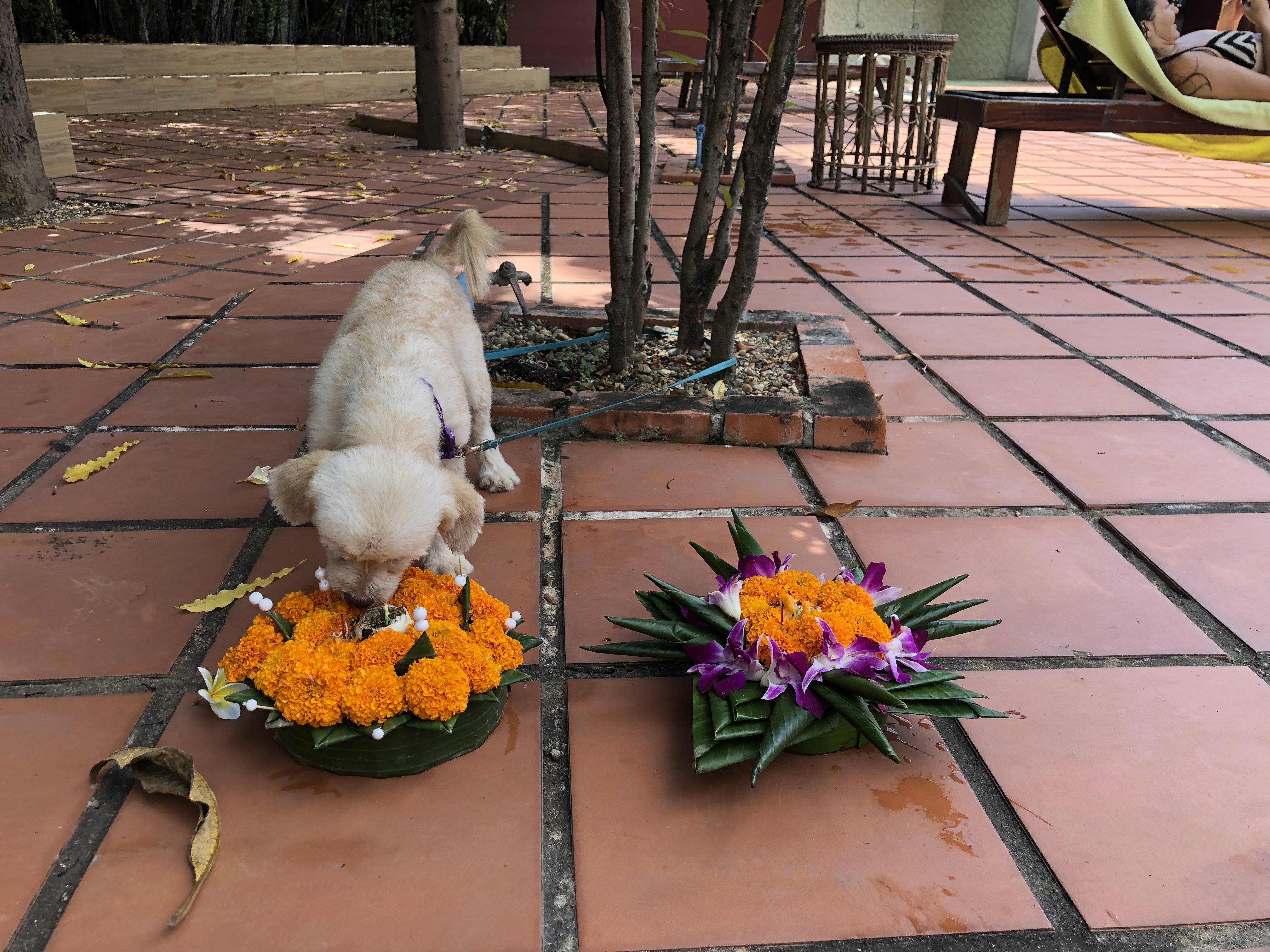 Winnie choosing her light 1