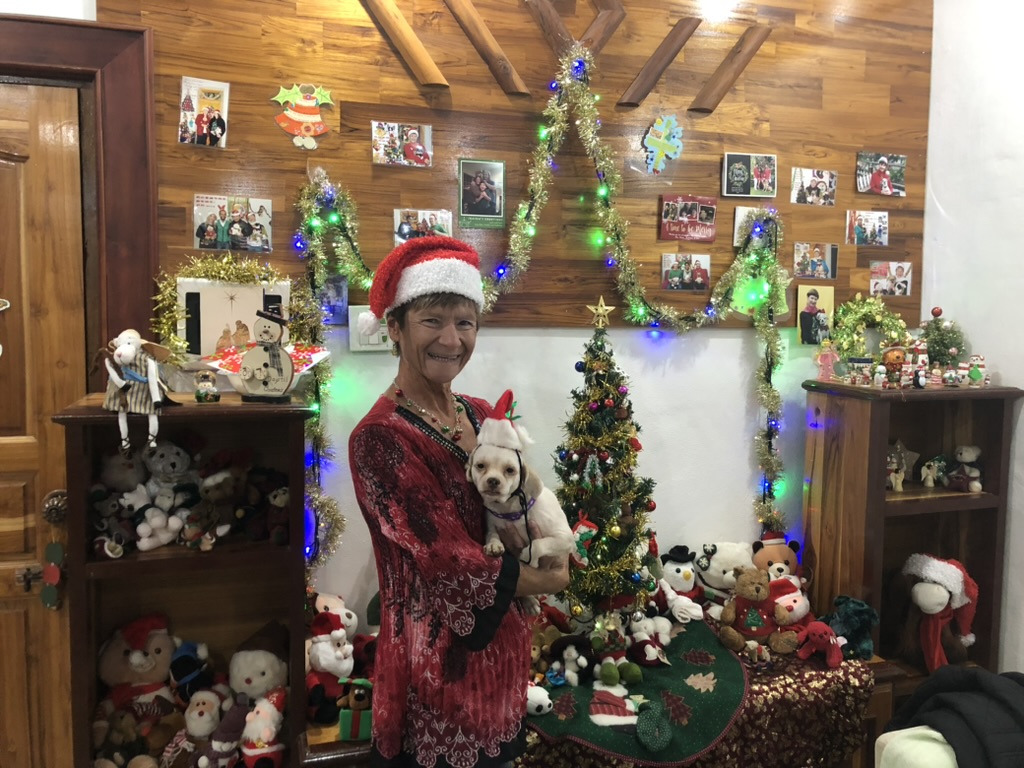 09D89F88-86C6-4D9D-9A58-6989F6805EFF_1_105_c