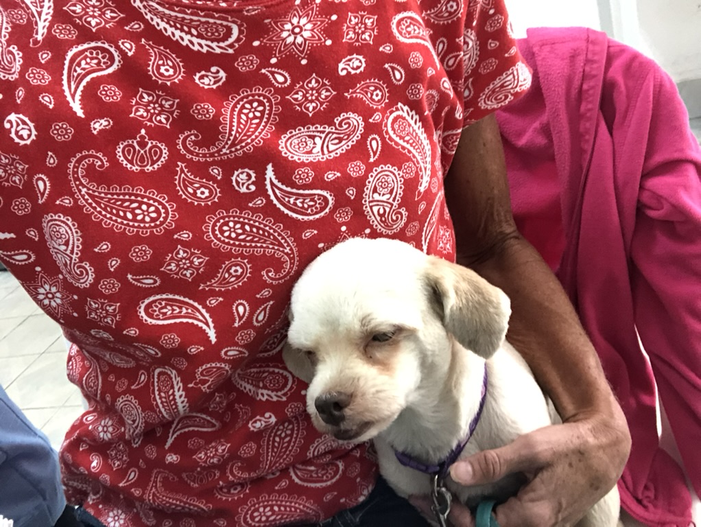 6DBDFAA7-5B4D-43EB-AAF7-F56A17B725EE_1_105_c